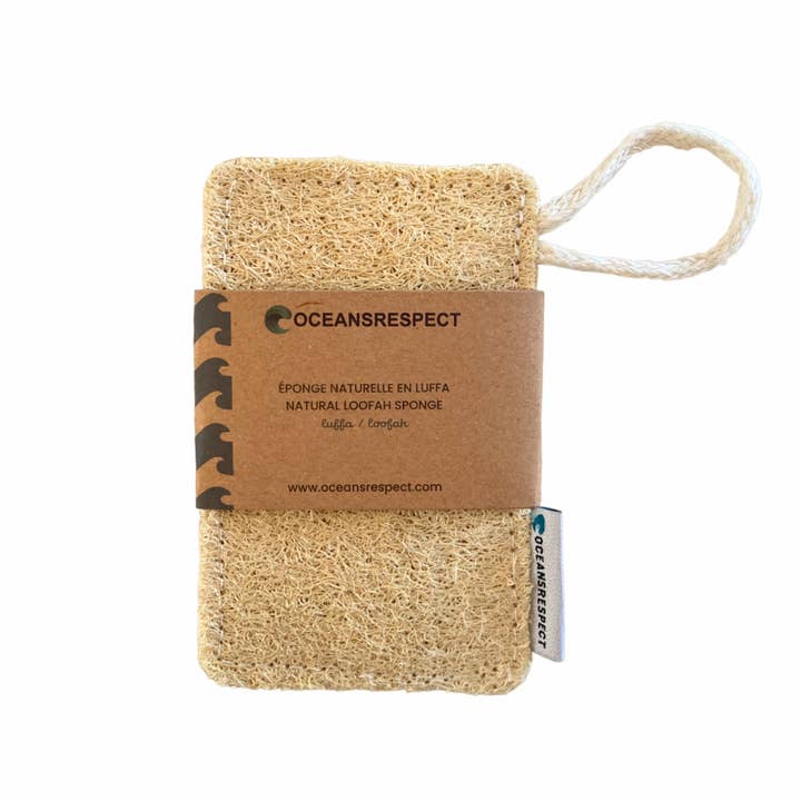 Spugna in luffa naturale e biodegradabile e ulteriori Risultati per piatti plastica all'ingrosso. Resi gratuiti e termini di pagamento a 60 giorni su Faire in tendenza su Faire.