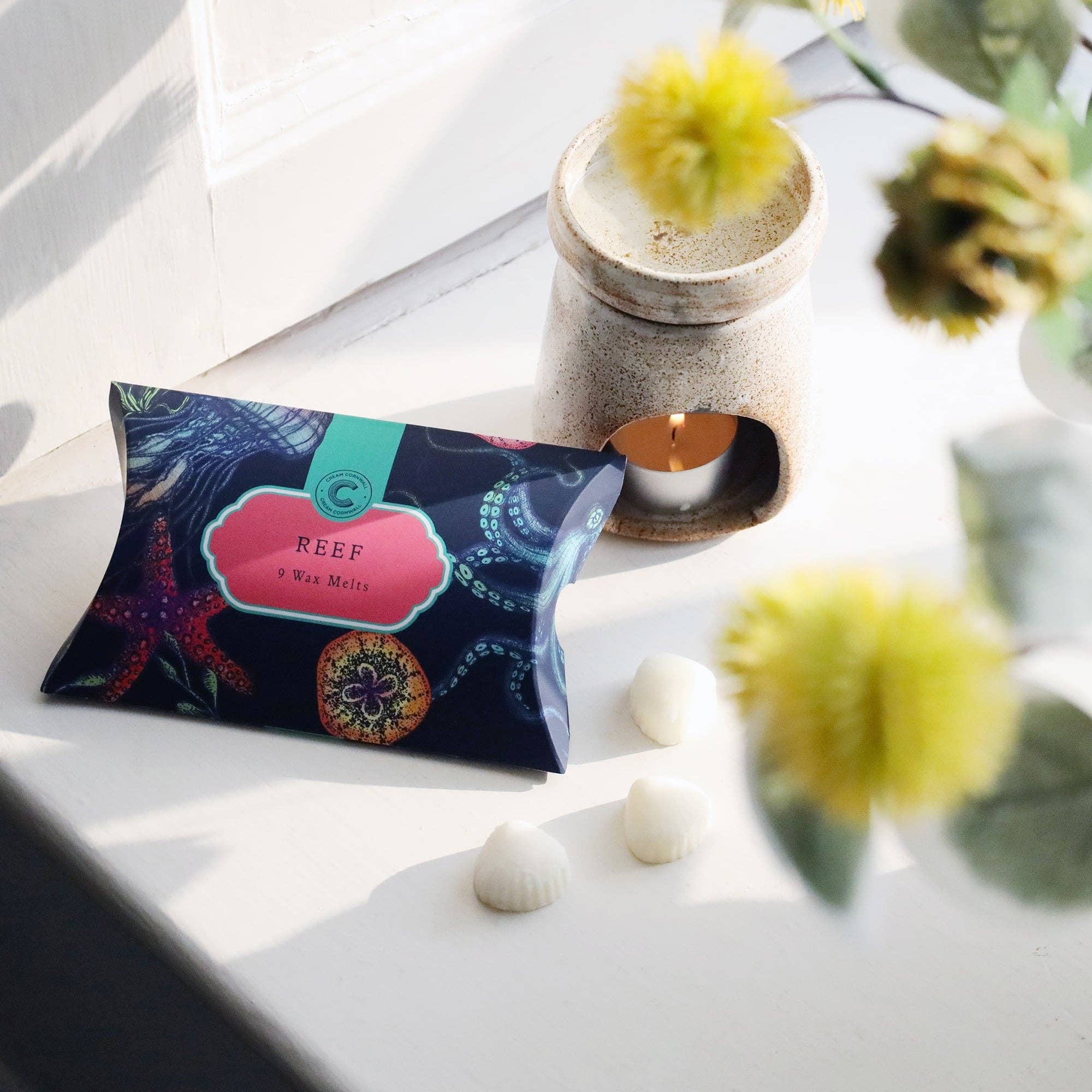 Cream Cornwall - Vente Fondants - Boîte de neuf produits Reef Wax Melts2
