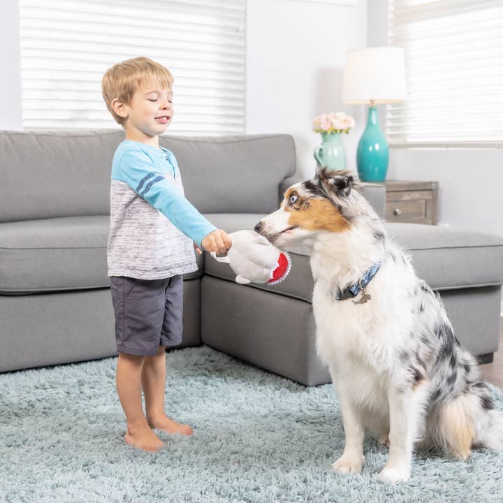 Downtown Pet Supply - Wholesale Knuffelspeeltje - Hond - 2-in-1 knuffelspeelgoed met haaien en kippen12