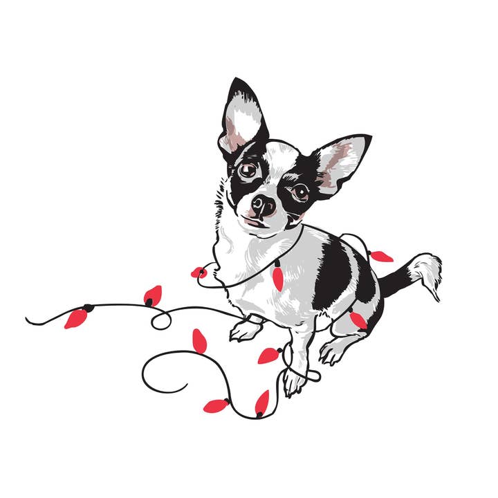 Chihuahua RHO-9013 com ímã de luzes por atacado de Rigel Paper