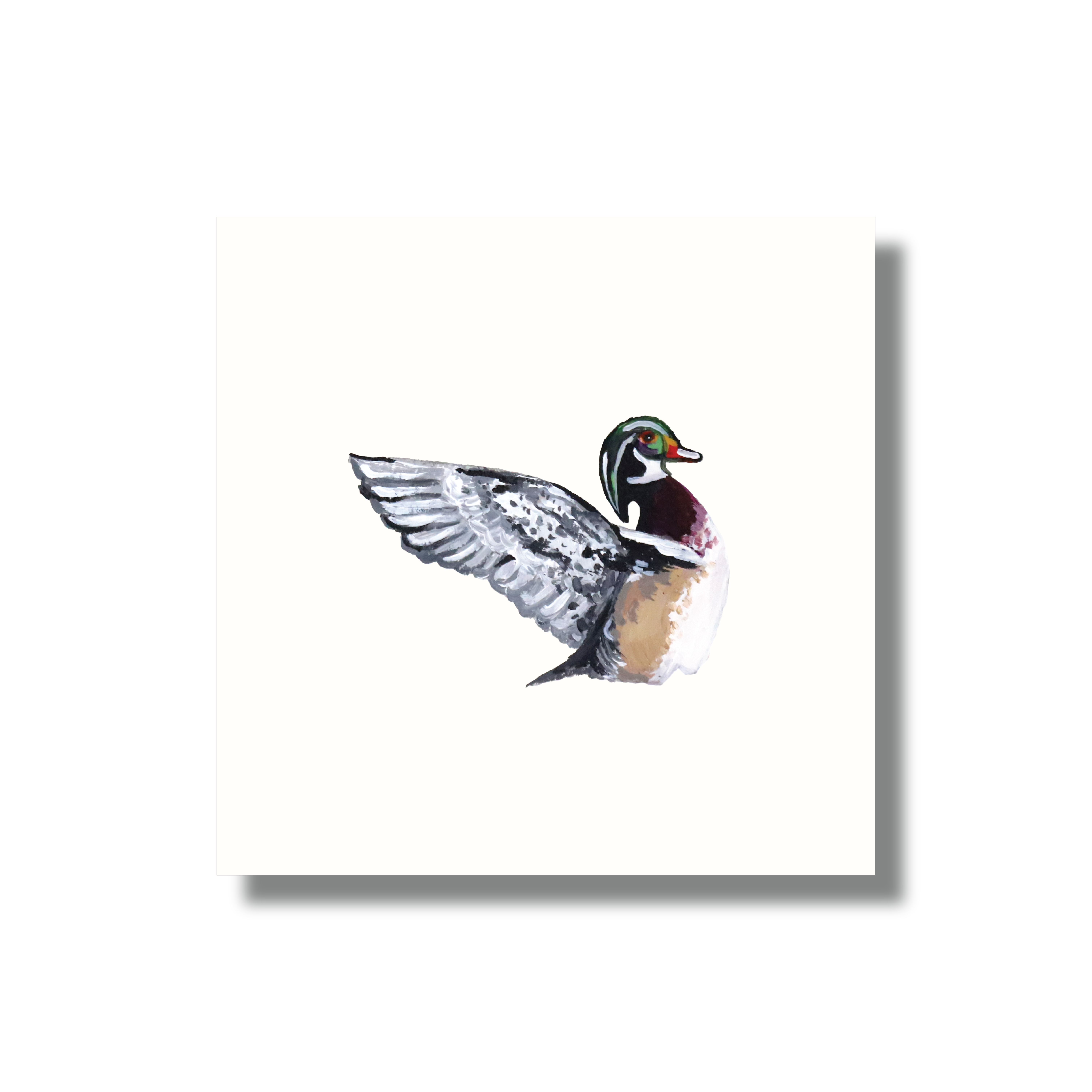 Mads Studio & Co. - Wholesale Art Print - Wood Duck Fine Art Print0