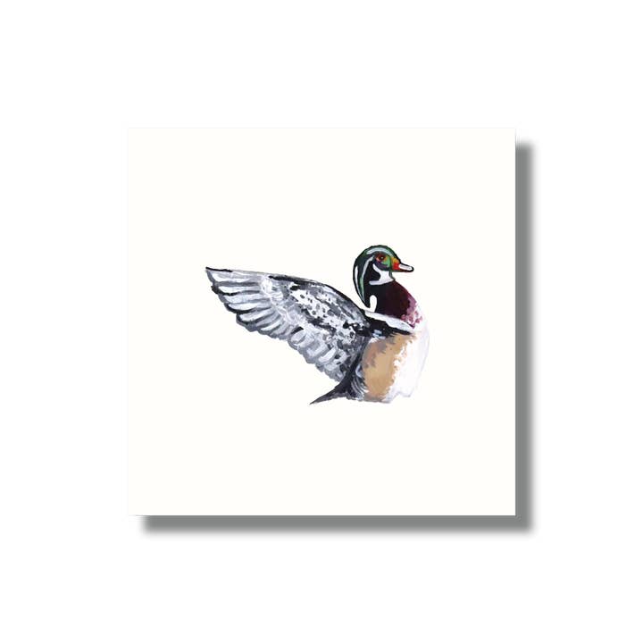 Mads Studio & Co. - Wholesale Art Print - Wood Duck Fine Art Print