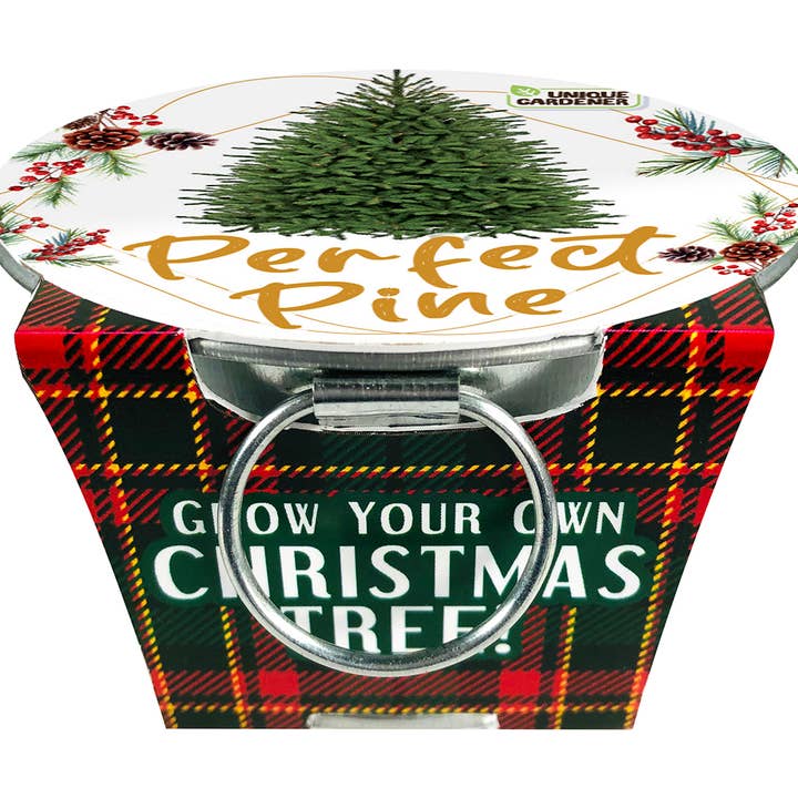 Silver Circle Products - Wholesale Retailer Display - Kids & Baby - Perfect Pines 24 Piece Counter Display