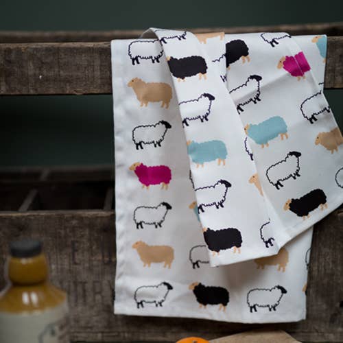 Hairy Coo – wholesale Tea towel – Woolly Ewe Tea Towel - Born and Bred in Scotland4