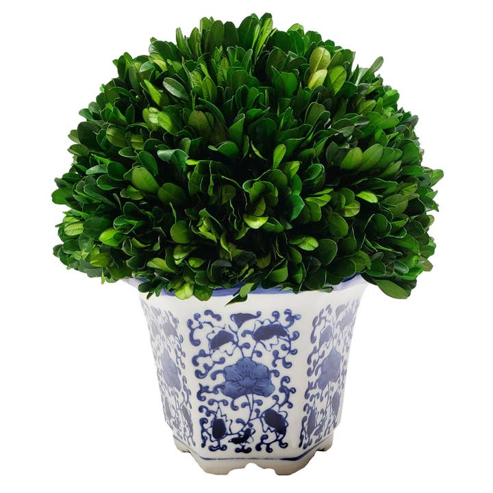 Galt International Company - Vendita all'ingrosso Piante artificiali - Topiaria a forma di palla di bosso in vaso esagonale in ceramica blu e bianca