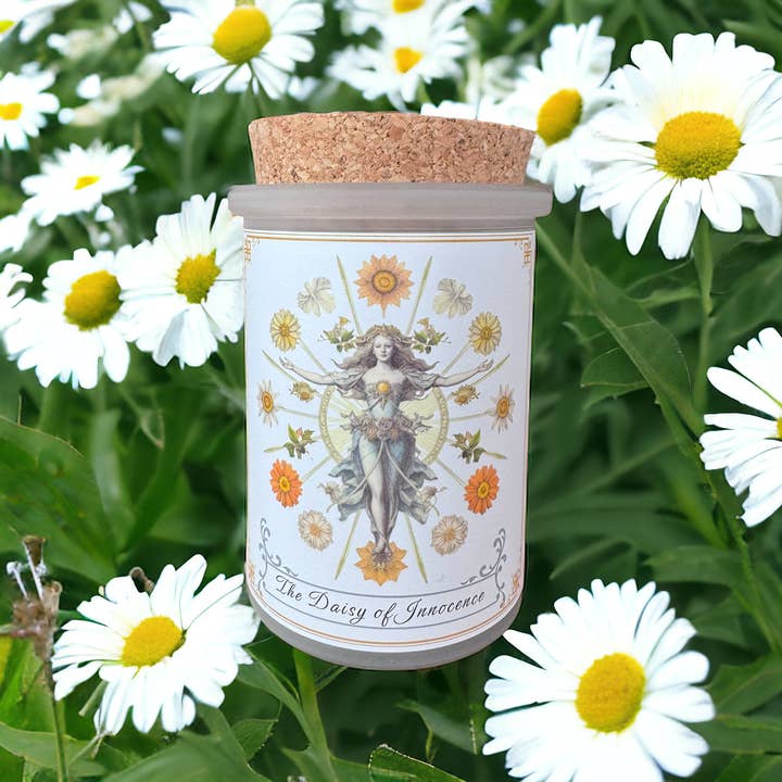 Montana Farmacy – wholesale Jar/filled candle – Flower Power © Candle Vintage Botanical Daisy Victorian7