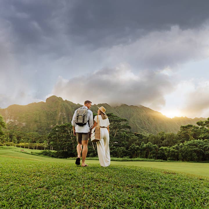 Beige Canvas Corsica Wine & Cheese Picnic Basket for wholesale on Faire32