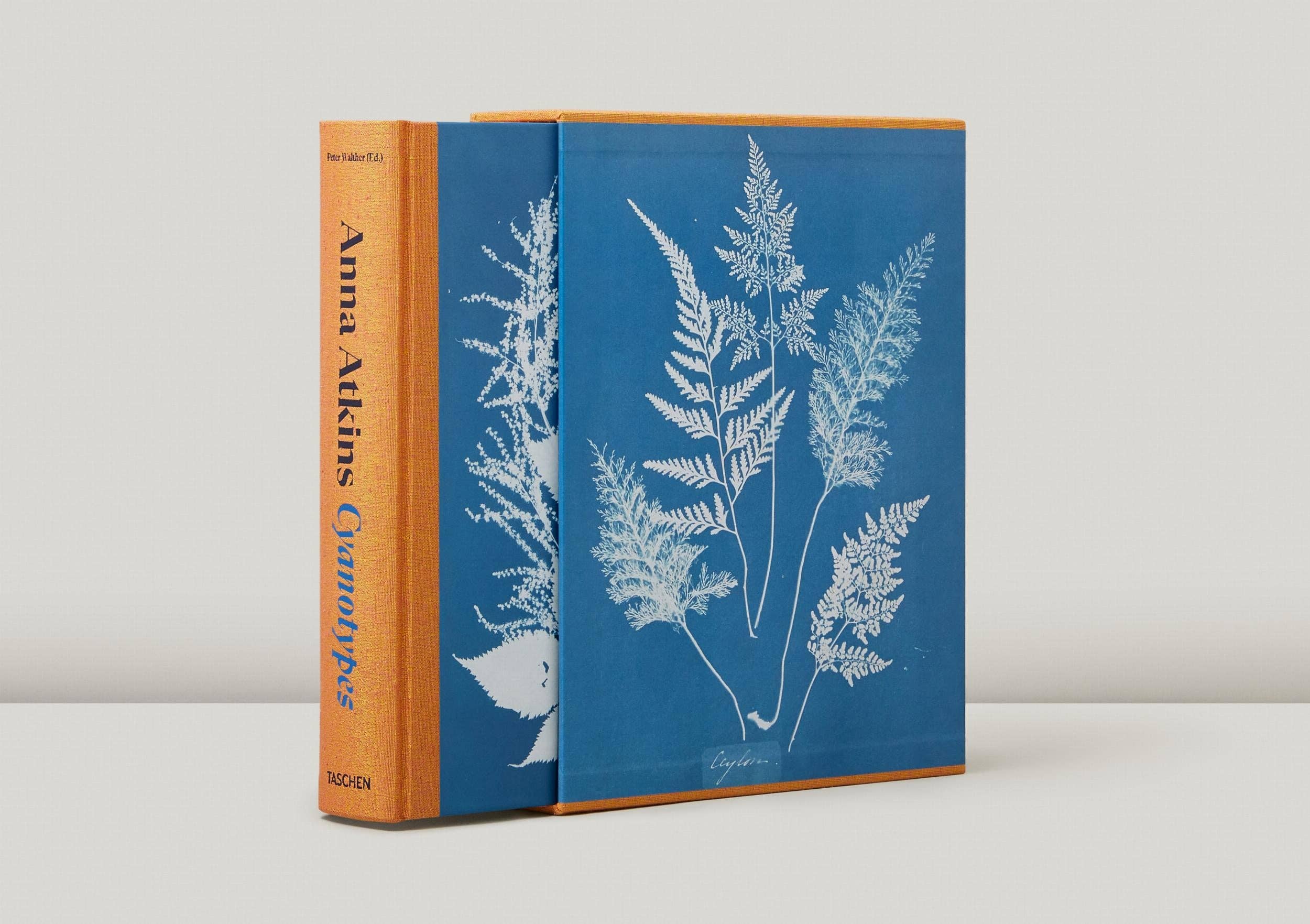TASCHEN Europe - Wholesale Display Book - Anna Atkins. Cyanotypes (German, French, English) (FFE)2