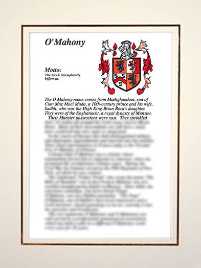 O'Mahony for wholesale by Family Histories