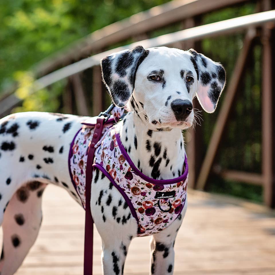 Cavology - Wholesale Pet Harness - Dog - Dog Vest Step-In Harness – Tea Rose Purple Plum Florals2