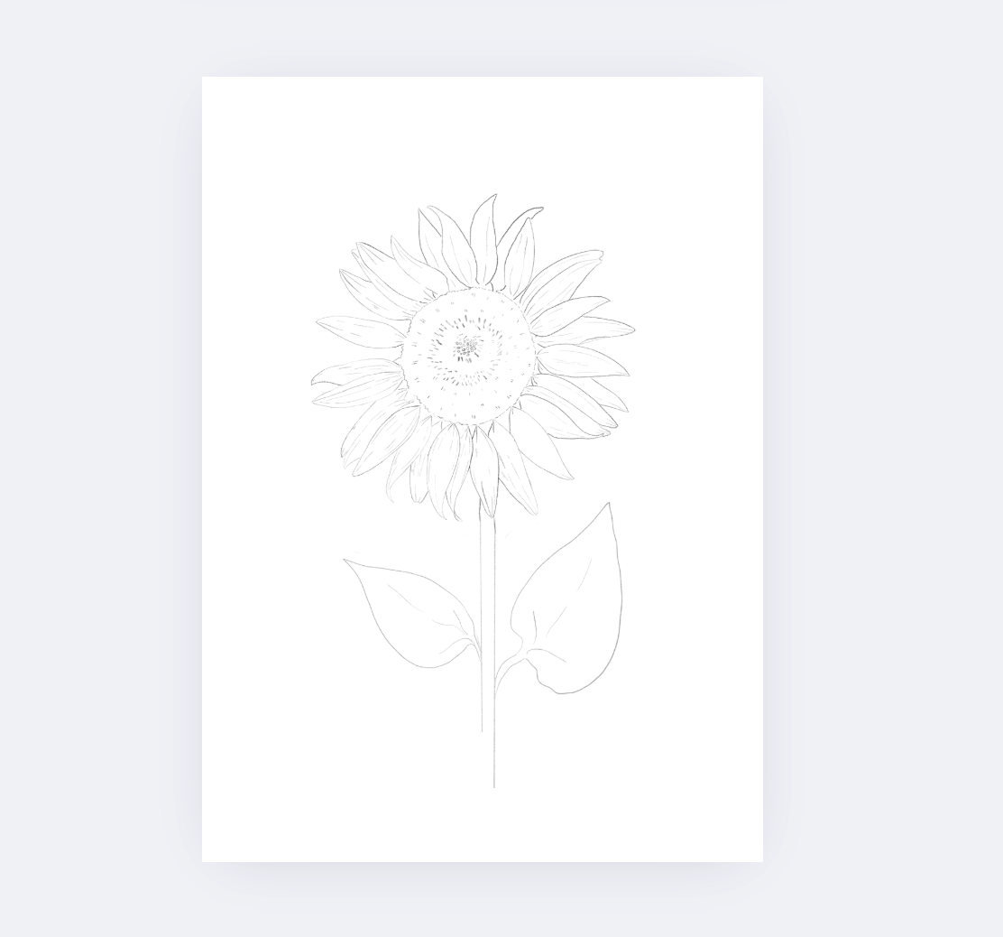 Sarah Ruth Frey - Wholesale DIY Craft Kit - Flowers Watercolor Kit7