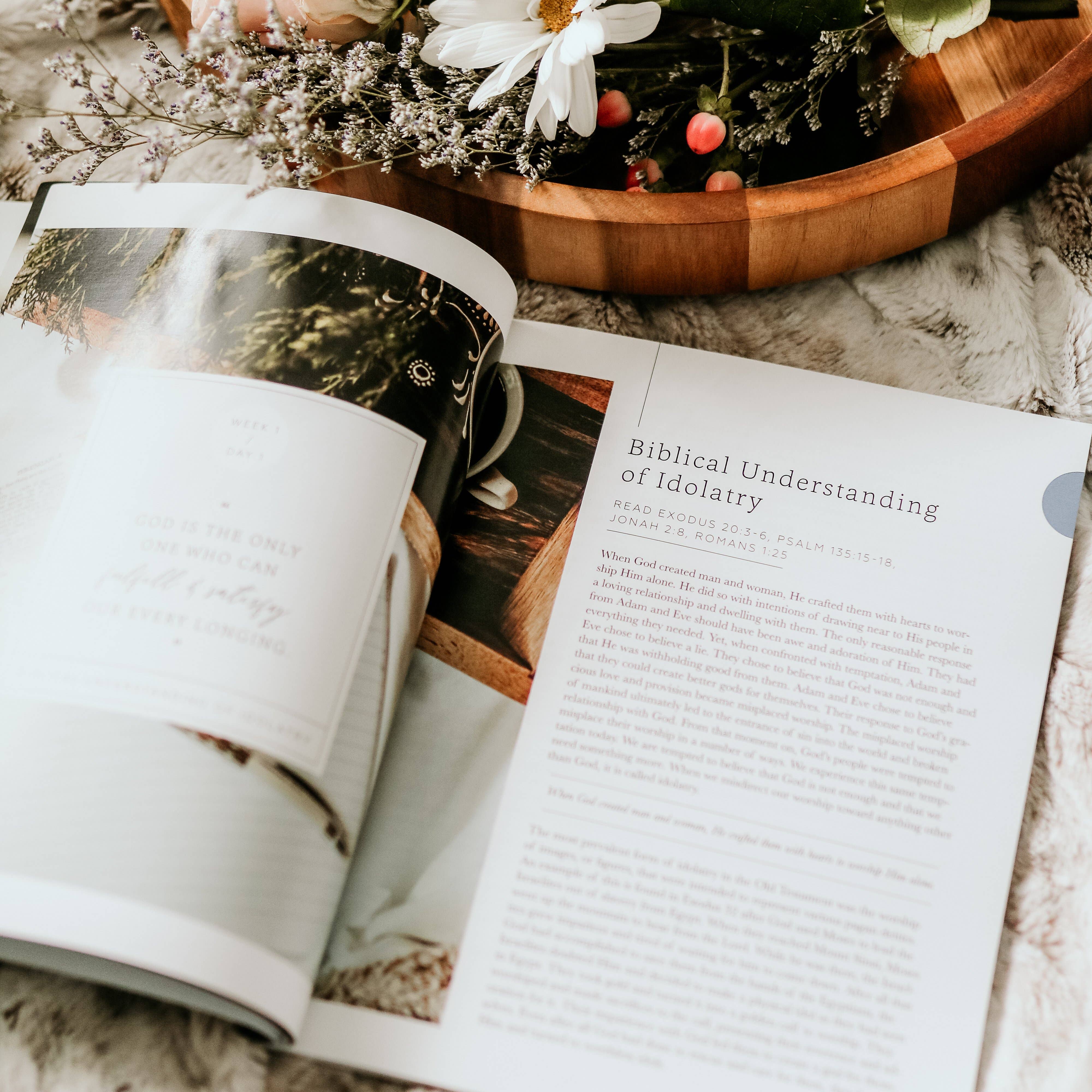 The Daily Grace Co - Wholesale Religion - More Than Anything | Idolatry Study2