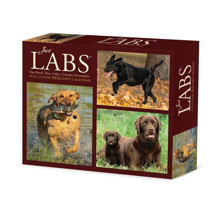 Calendrier quotidien Just Labs 2026 6,2" x 5,4" pour la vente par Willow Creek Press & Gifts