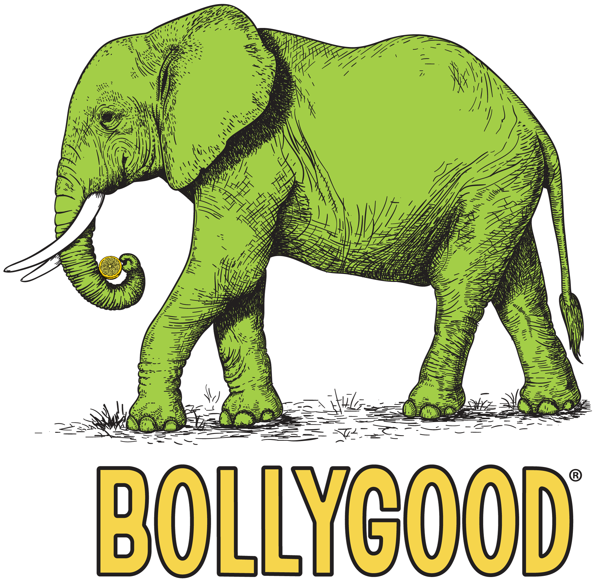 Bollygood - Wholesale Soda/Carbonated Drink - Lime Basil Cumin (12-pack)3