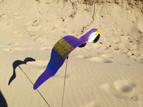 Florida Dancing Birds - Wholesale Garden/Lawn Stake - Purple Parrot3