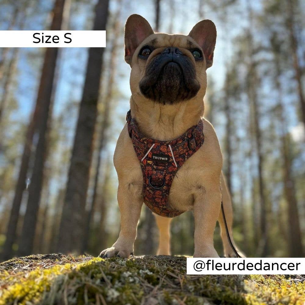 Trufois - Vente Harnais – chien - Harnais Sisu - Chute et Vol14