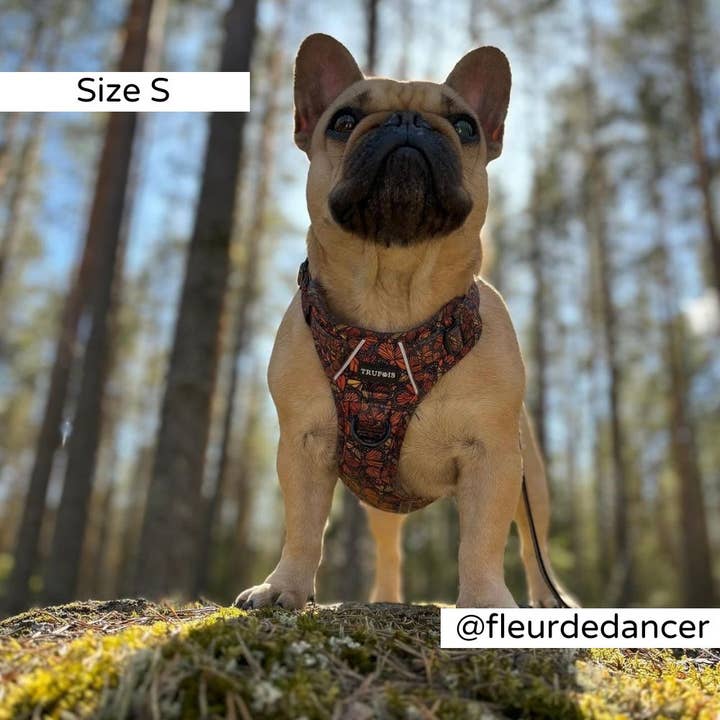 Trufois - Vente Harnais – chien - Harnais Sisu - Chute et Vol14