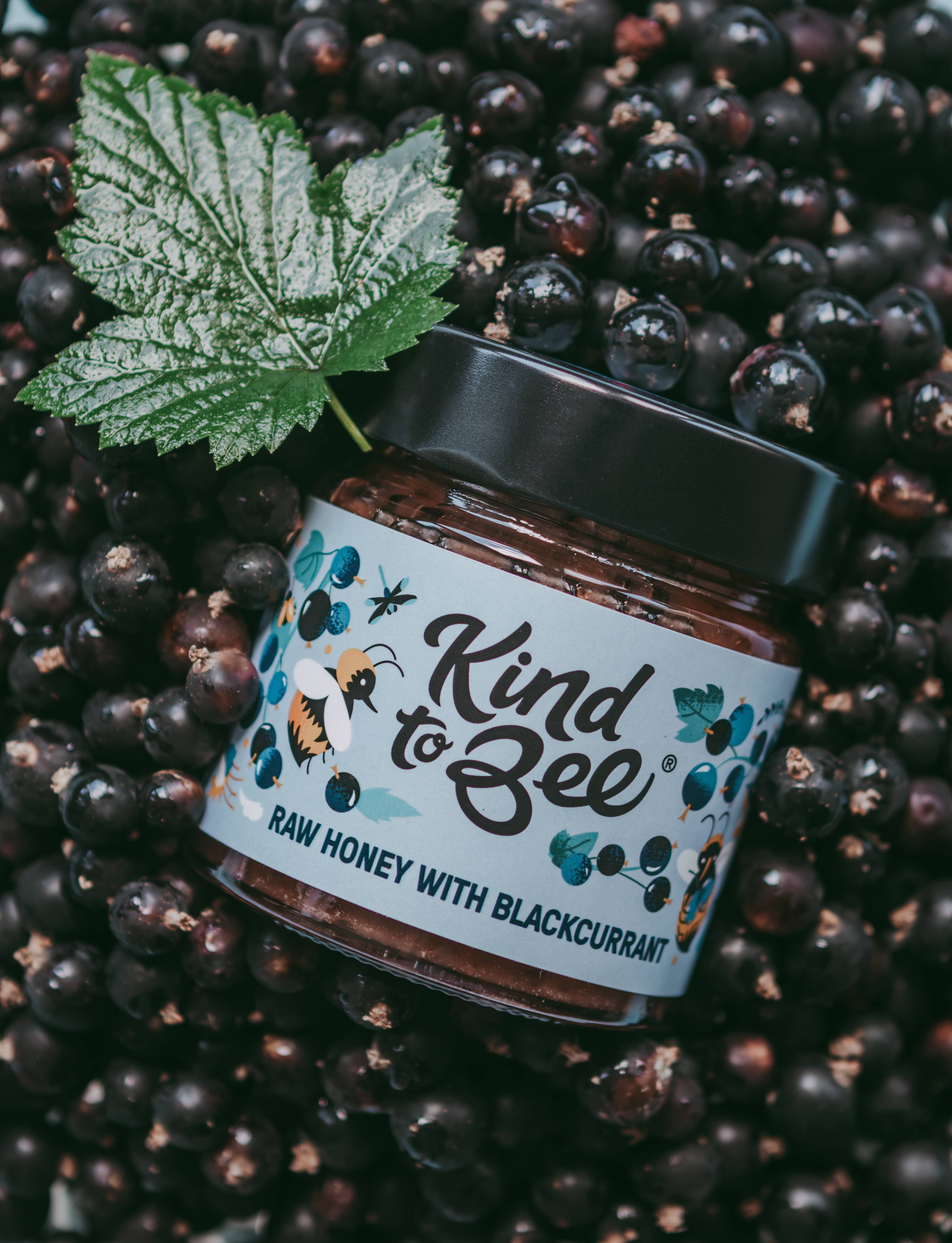 Kind to Bee - Wholesale Honey - Raw Honey with Blackcurrant, Cruelty-Free, glass jar4