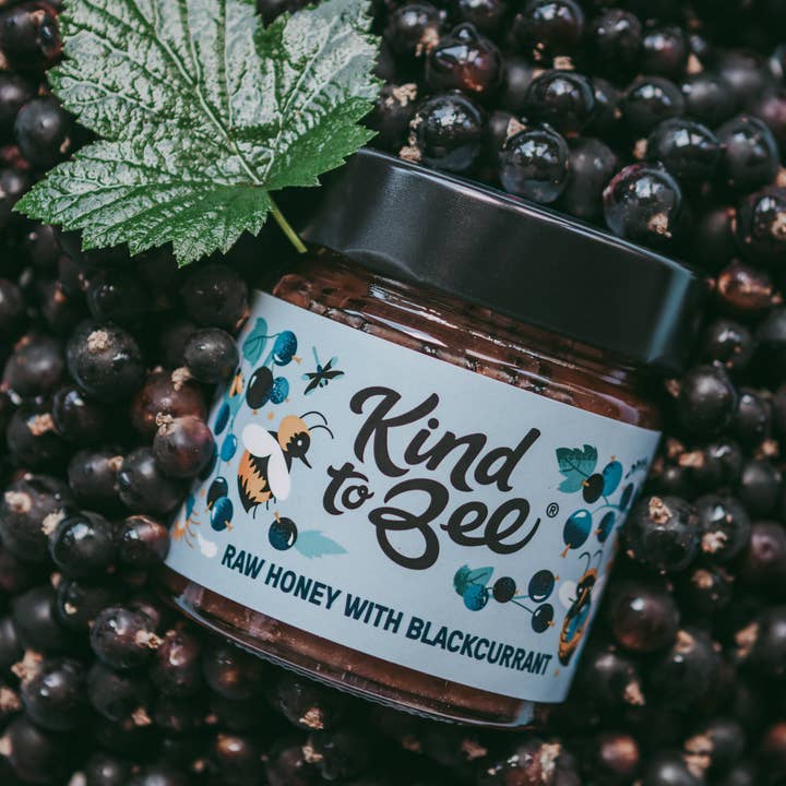 Kind to Bee - Wholesale Honey - Raw Honey with Blackcurrant, Cruelty-Free, glass jar4