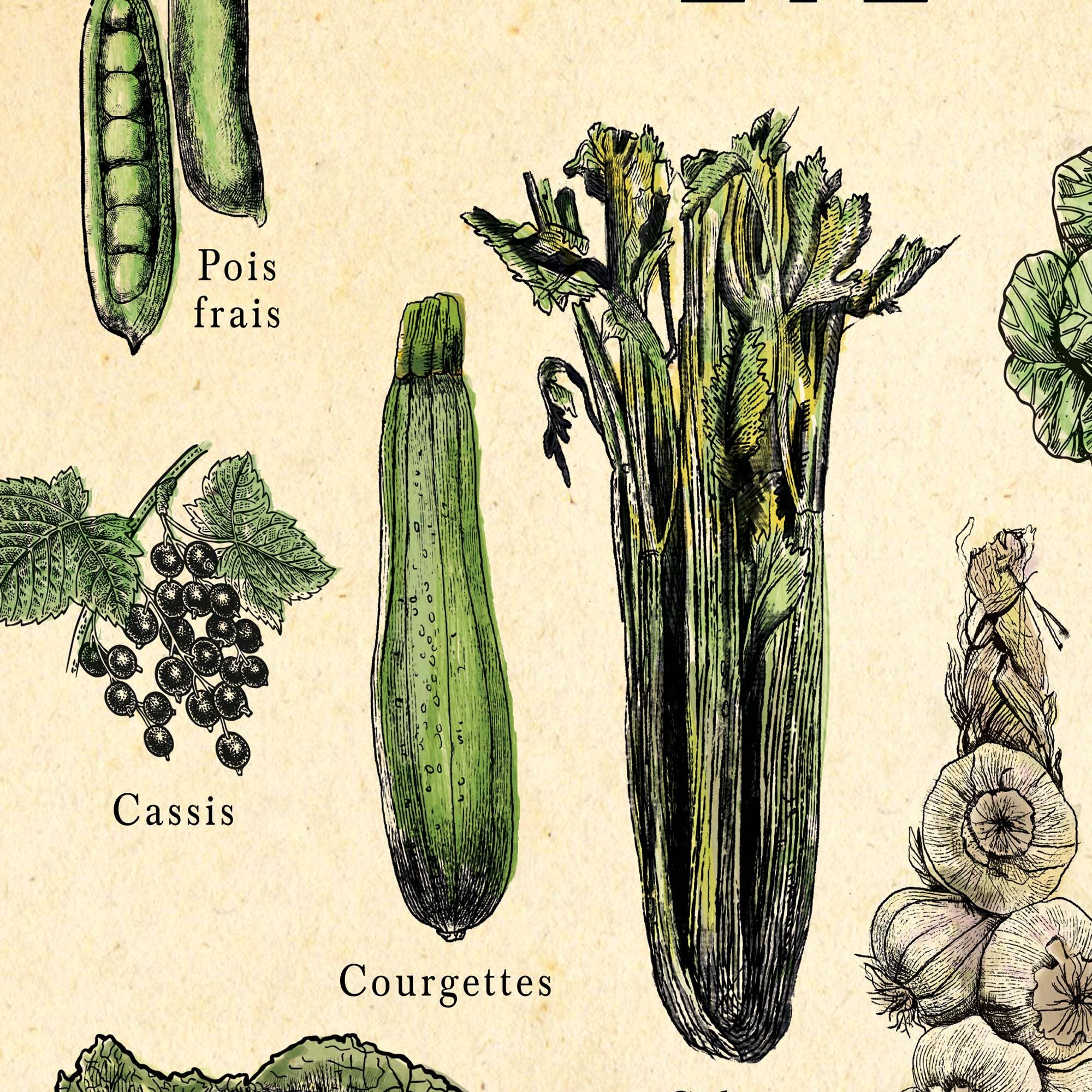 Hannah Turpin Designs - Vendita all'ingrosso Poster - Poster francese di frutta e verdura, stampa cibo da cucina, Resta8