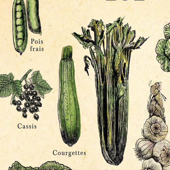 Hannah Turpin Designs - Vendita all'ingrosso Poster - Poster francese di frutta e verdura, stampa cibo da cucina, Resta8