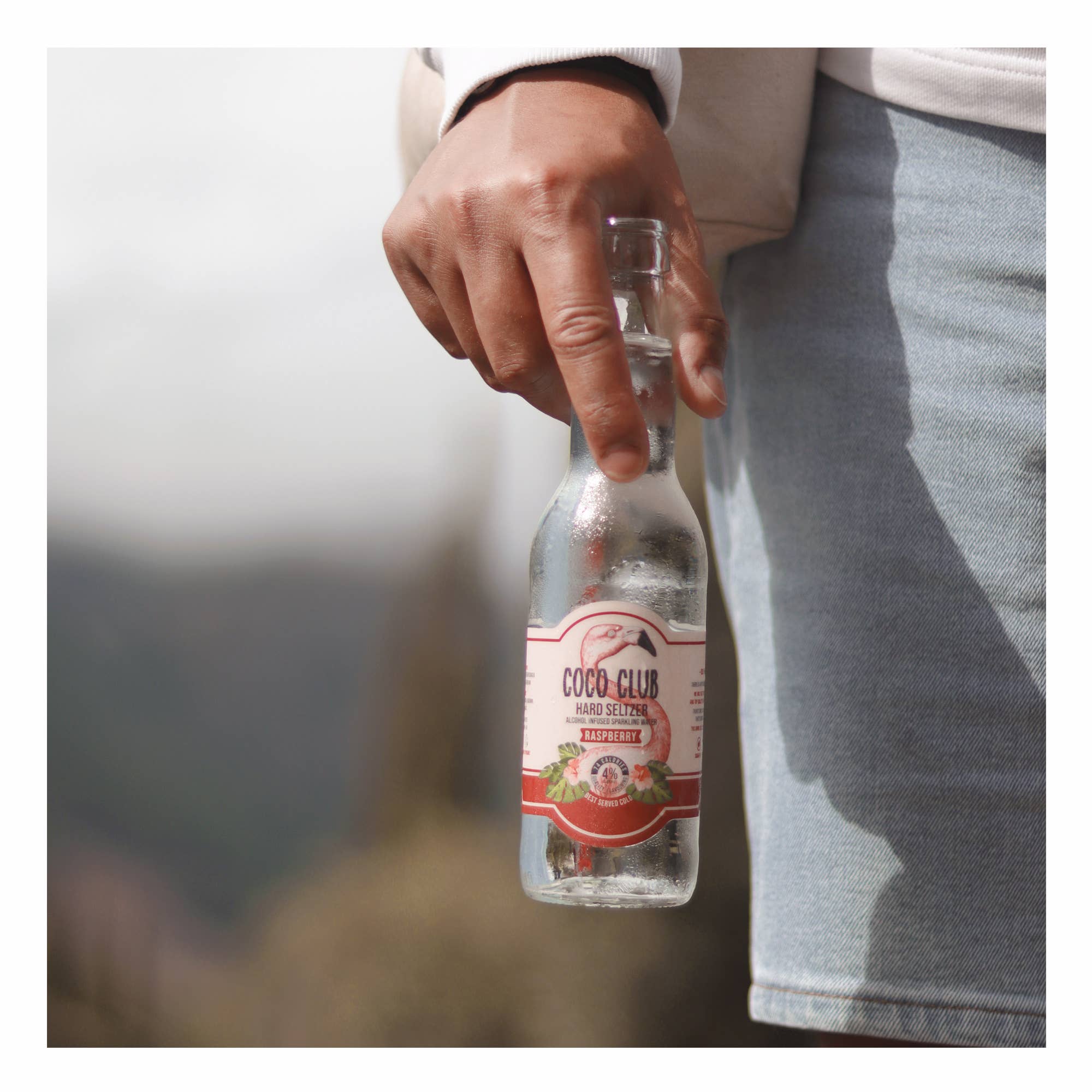 Coco Club - Wholesale Cocktailmix/siroop - Hard seltzer Framboos2