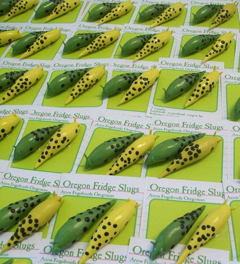 bishopart - Wholesale Magnet - Oregon Fridge Slugs Magnet Set1