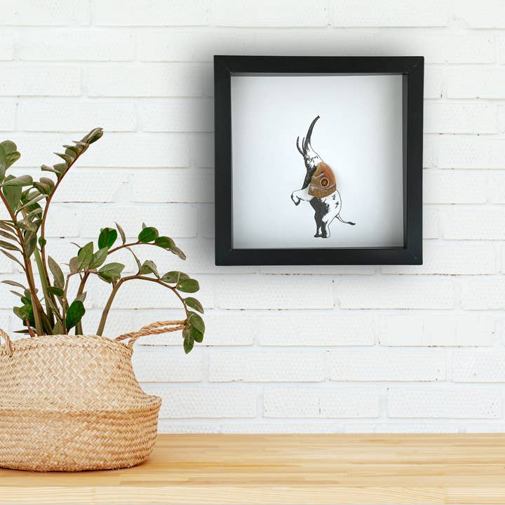 Isms - Wholesale Wall Accent - Elephant Trunk Up Framed Art with Real Butterfly Wing