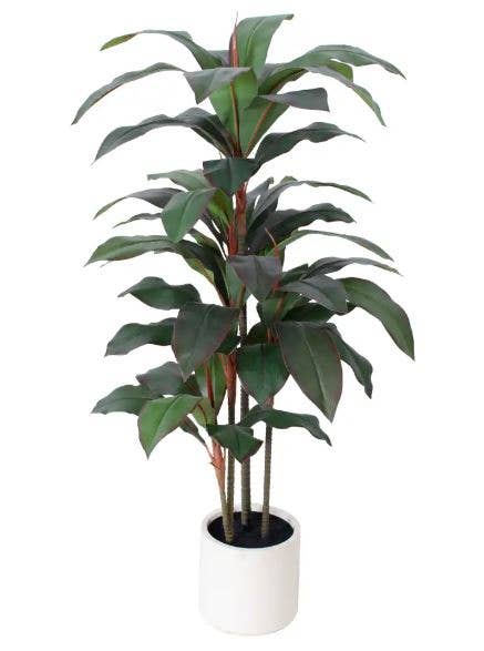 HomeRoots – wholesale Konstgjord växt – Grön konstgjord dracaena, 18 cm, i cylindrisk vit cementkruka3