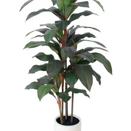 HomeRoots – Engroshandel Kunstig plante – 7" Grøn Kunstig Dracaena I Cylindrisk Hvid Cementpotte3