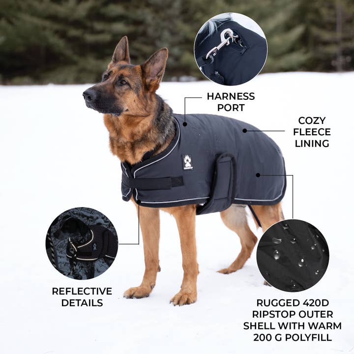 Shedrow K9 - Wholesale Pet Coat - Dog - Shedrow K9 Vail Dog Coat - Black w/ Black Trim5