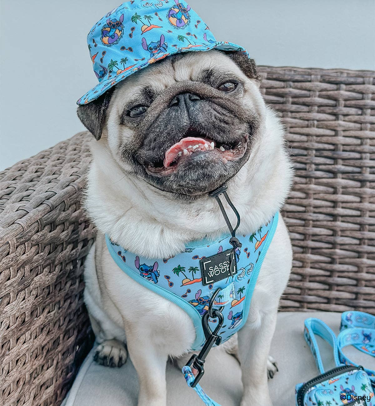 SASSY WOOF - Wholesale Pet Harness - Dog - Dog Adjustable Harness - Disney's Stitch6