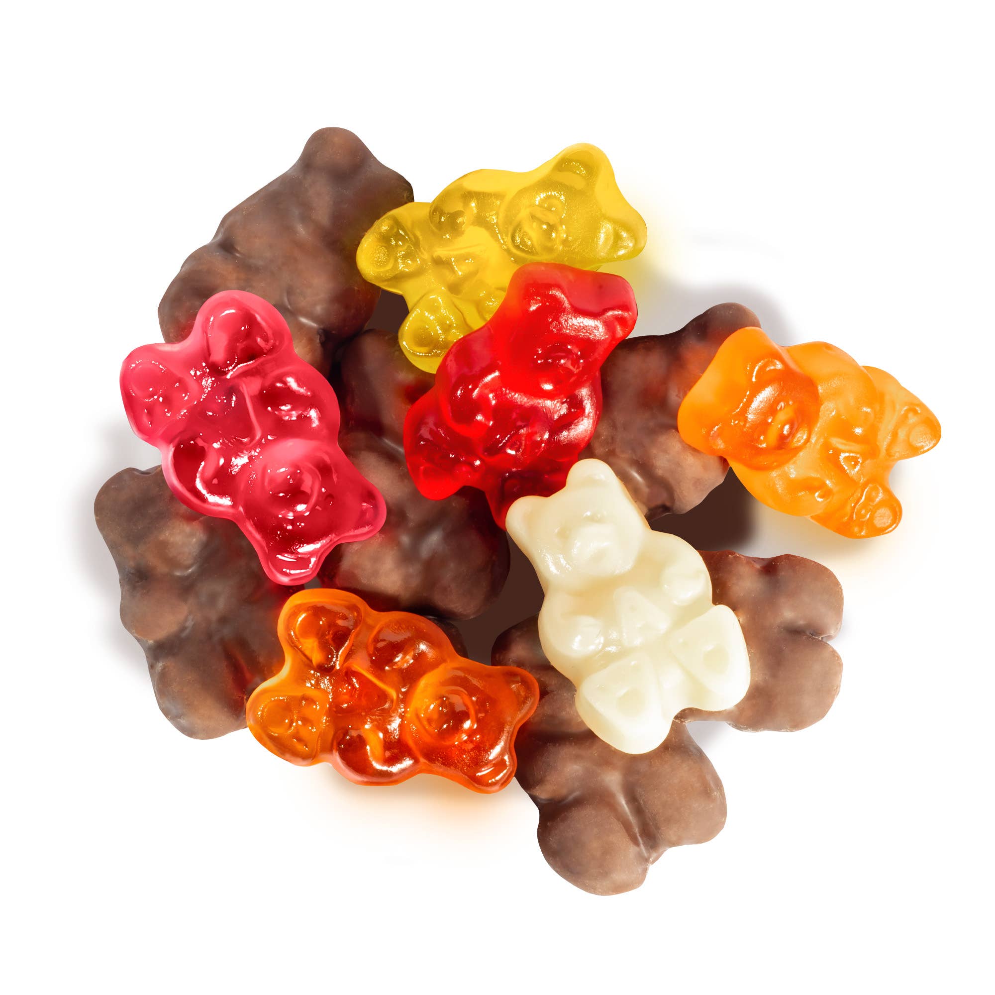 Grandpa Joe's Candy Shop - Wholesale Gummy - Albanese Choclate Covered Gummy Bears, 10lb Bulk Case1