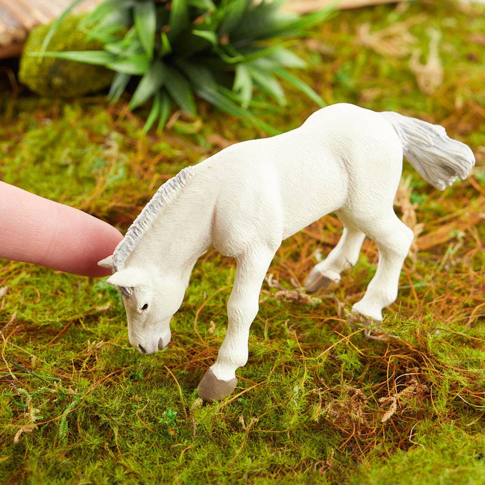 Factory Direct Craft – Engroshandel Bordpynt – Papo Miniature Realistisk Boulonnais Føl Pony Figurine2
