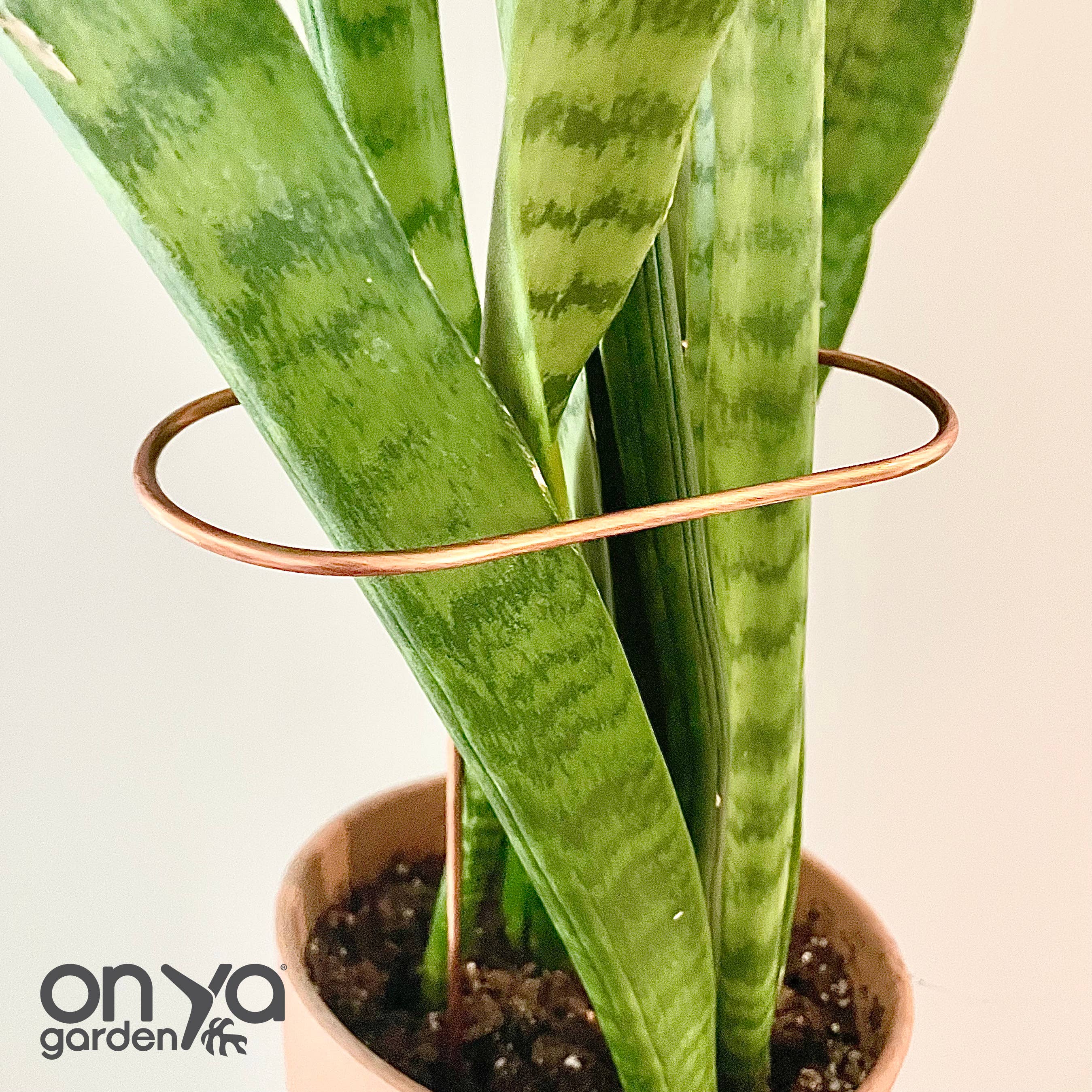 On Ya Garden - Vente Treillis - Bâton de Plante en Cuivre, Support de Tige Inclinée4