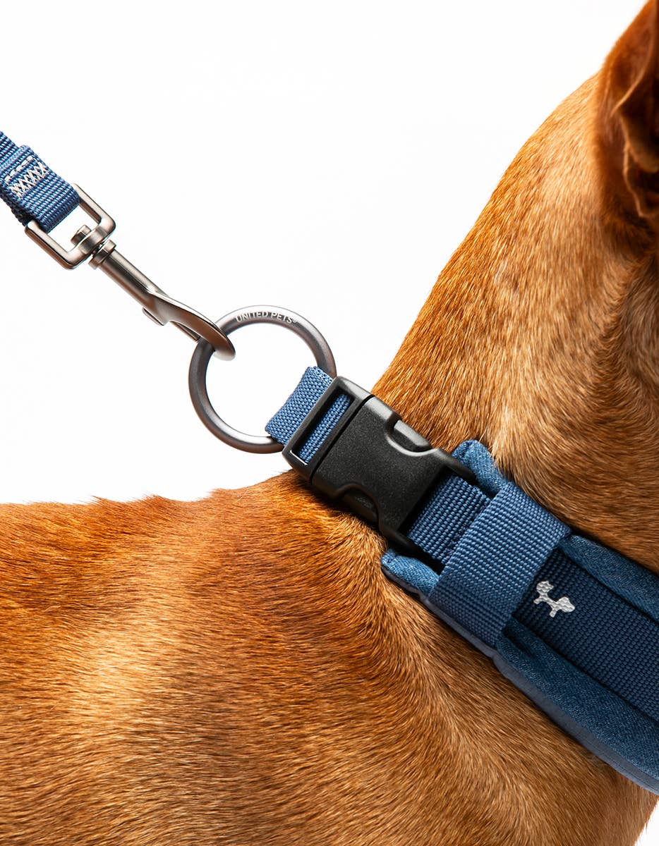 United Pets - Wholesale Pet Leash - Dog - Imbracatura imbottita morbida per cani in jeans4