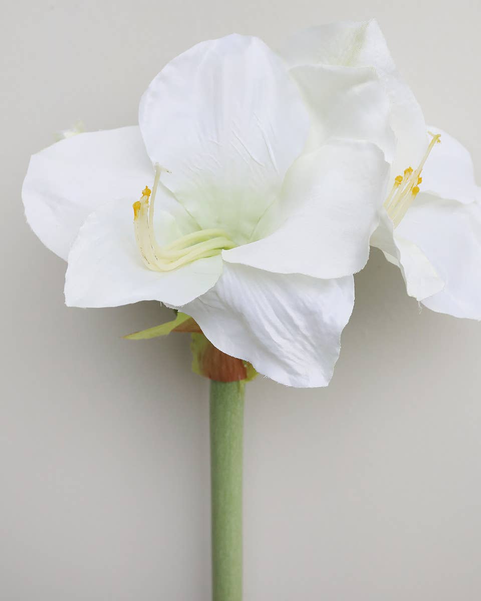Prestige Botanicals - Wholesale Artificial flowers - White Artificial Amaryllis 19.5”2