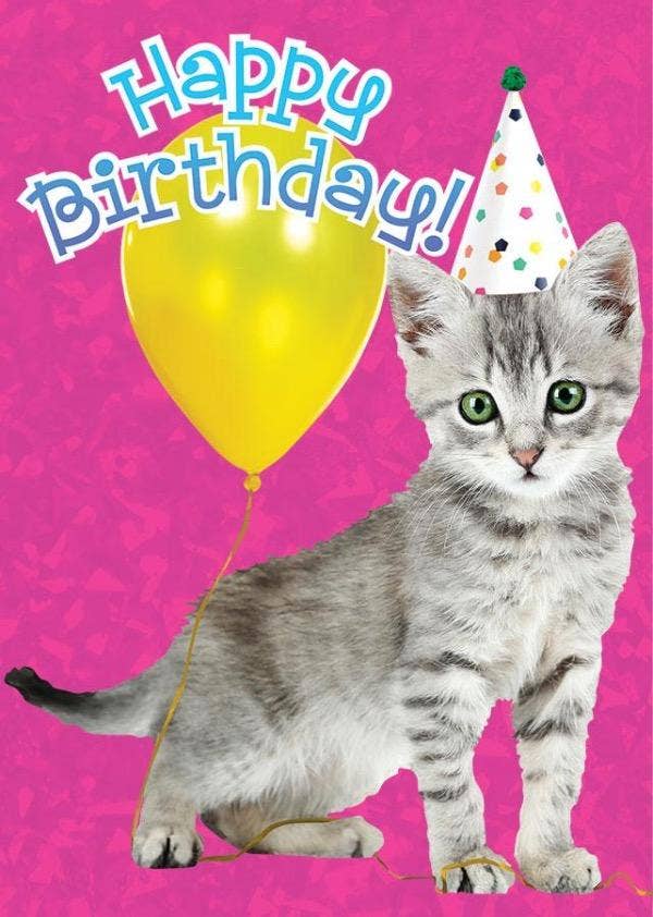 Paper House Productions - Wholesale Birthday Card - Birthday Kitten Foil Card0