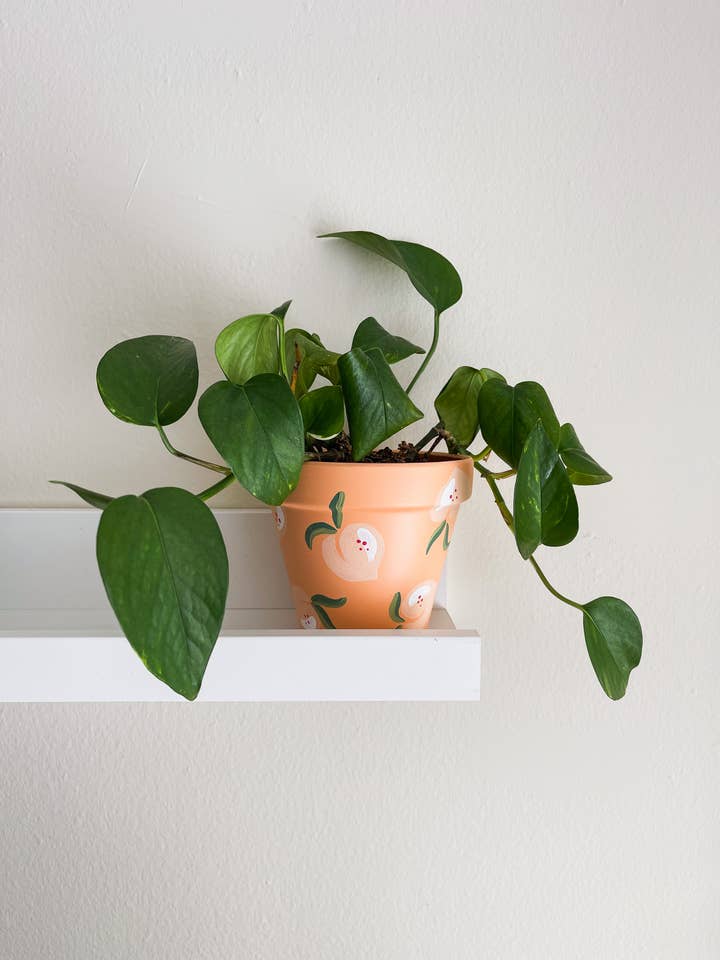 Peachy Pot | Hand Painted Terracotta Pot with Drainage Hole for wholesale by Aloe Painted Pots
