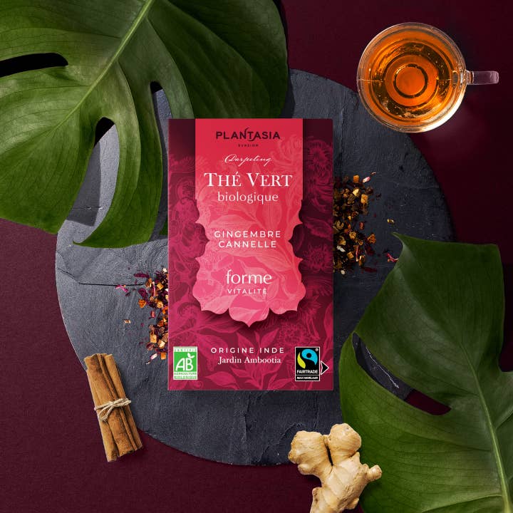 PROVENCE D'ANTAN - Wholesale Health/Detox Tea - Green Tea Ginger Cinnamon Organic*1