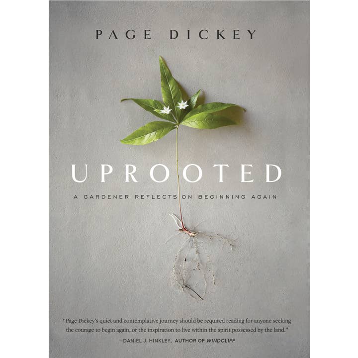 Uprooted for wholesale by Hachette Book Group