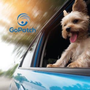 GoPatch – wholesale Pet supplement – Cat/dog – Pets- Motion Sickness, Anxiousness + Tummy Relief3