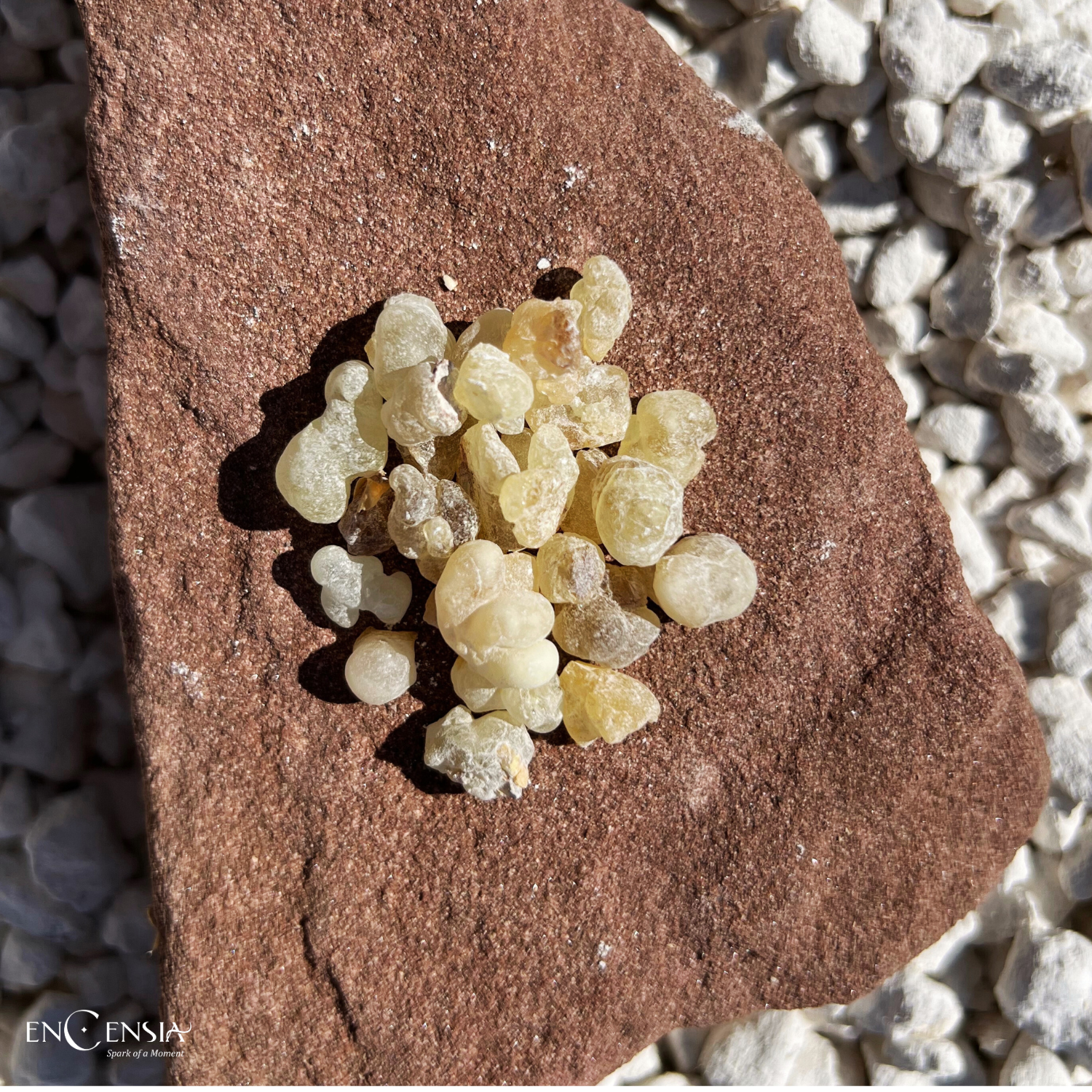 EncensiaWorld - Wholesale Incense - Pure Frankincense of Oman 100g - Boswellia Sacra - Luxurious6