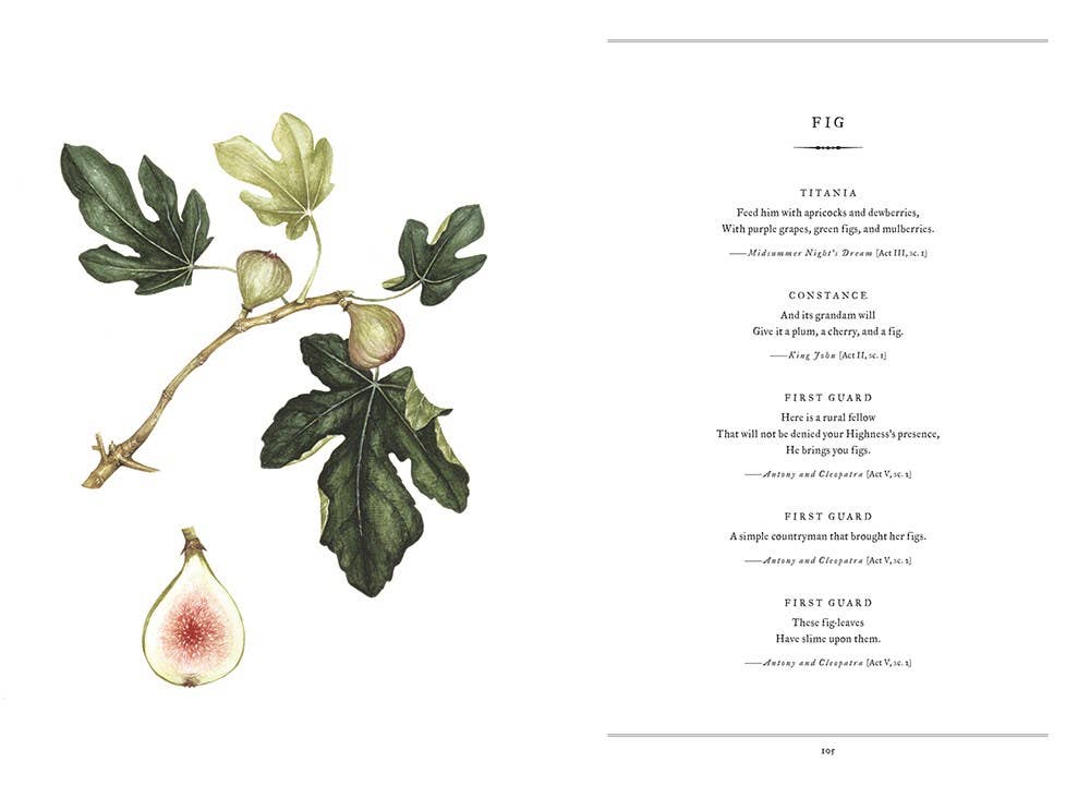 HarperCollins - Wholesale Nature & Outdoors Book - Botanical Shakespeare : Gerit Quealy4