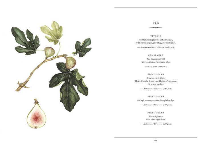 HarperCollins - Wholesale Nature & Outdoors Book - Botanical Shakespeare : Gerit Quealy4