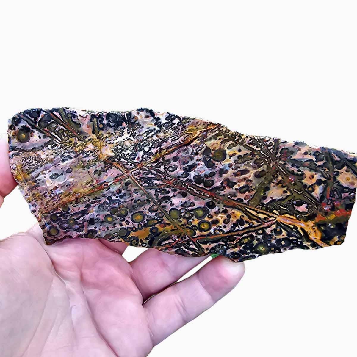 Lapidary Central – wholesale Spiritual stone/crystal – Leopard Skin Rhyolite Slab  Lapidary Stone Slab0