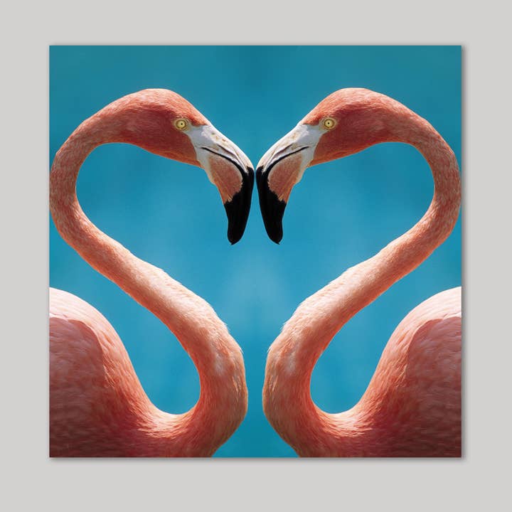 Carte de vœux flamants pour la vente par Icon