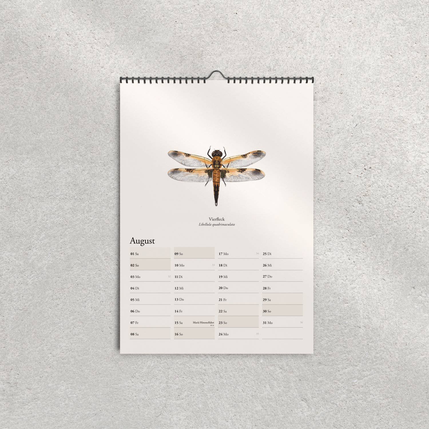 Terillu - Wholesale Calendar - Wall calendar 2026, calendar native dragonflies in A3 format5