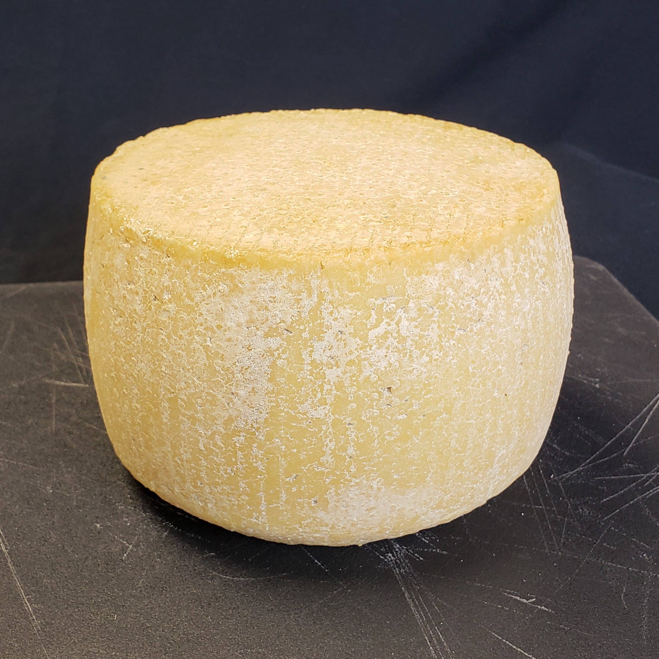 Tulip Tree Creamery - Wholesale Cheese - Hops 1