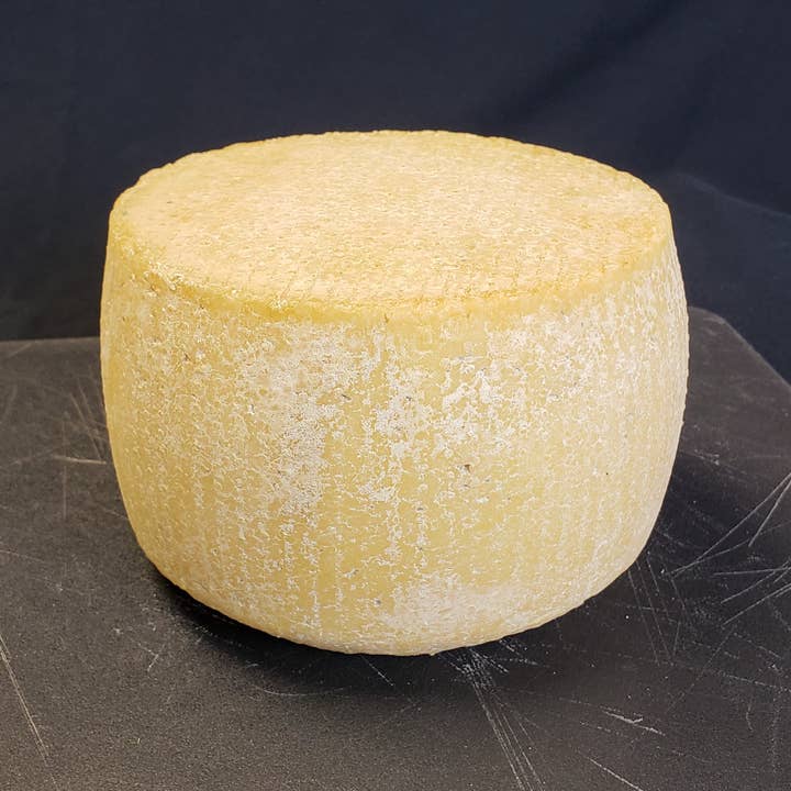 Tulip Tree Creamery - Wholesale Cheese - Hops 1